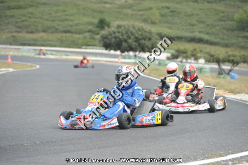 DSC (3430).JPG